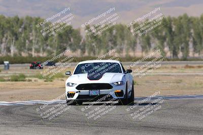 media/Oct-04-2025-OnGrid (Sat) [[44bd565ffa]]/Purple Group/Sunrise/